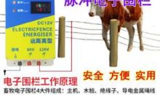 养猪围栏网 养猪围栏网